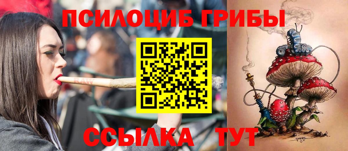 Псилоцибиновые грибы Psilocybe  как найти закладки  Ступино  Вход с VPN 