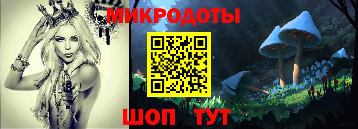 Галлюциногенные грибы Psilocybe Ступино